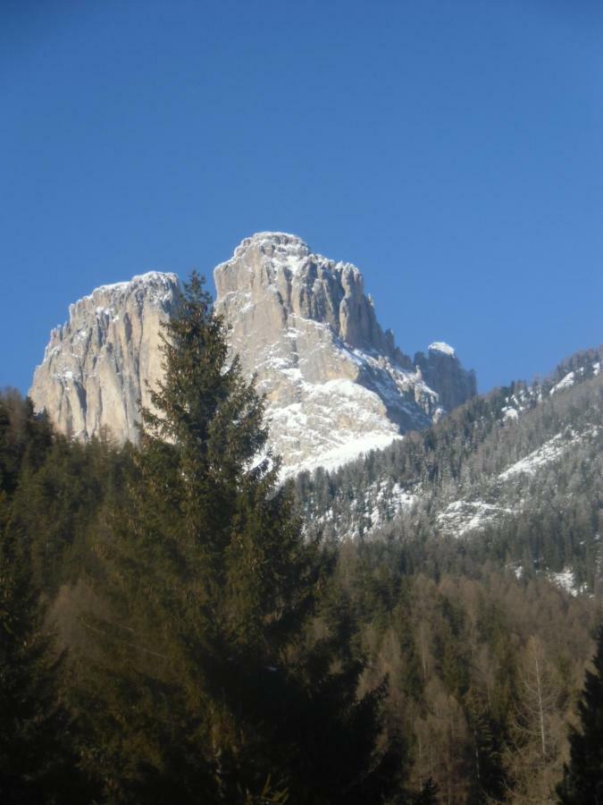 Hotel Garni Festil à Campitello di Fassa Extérieur photo